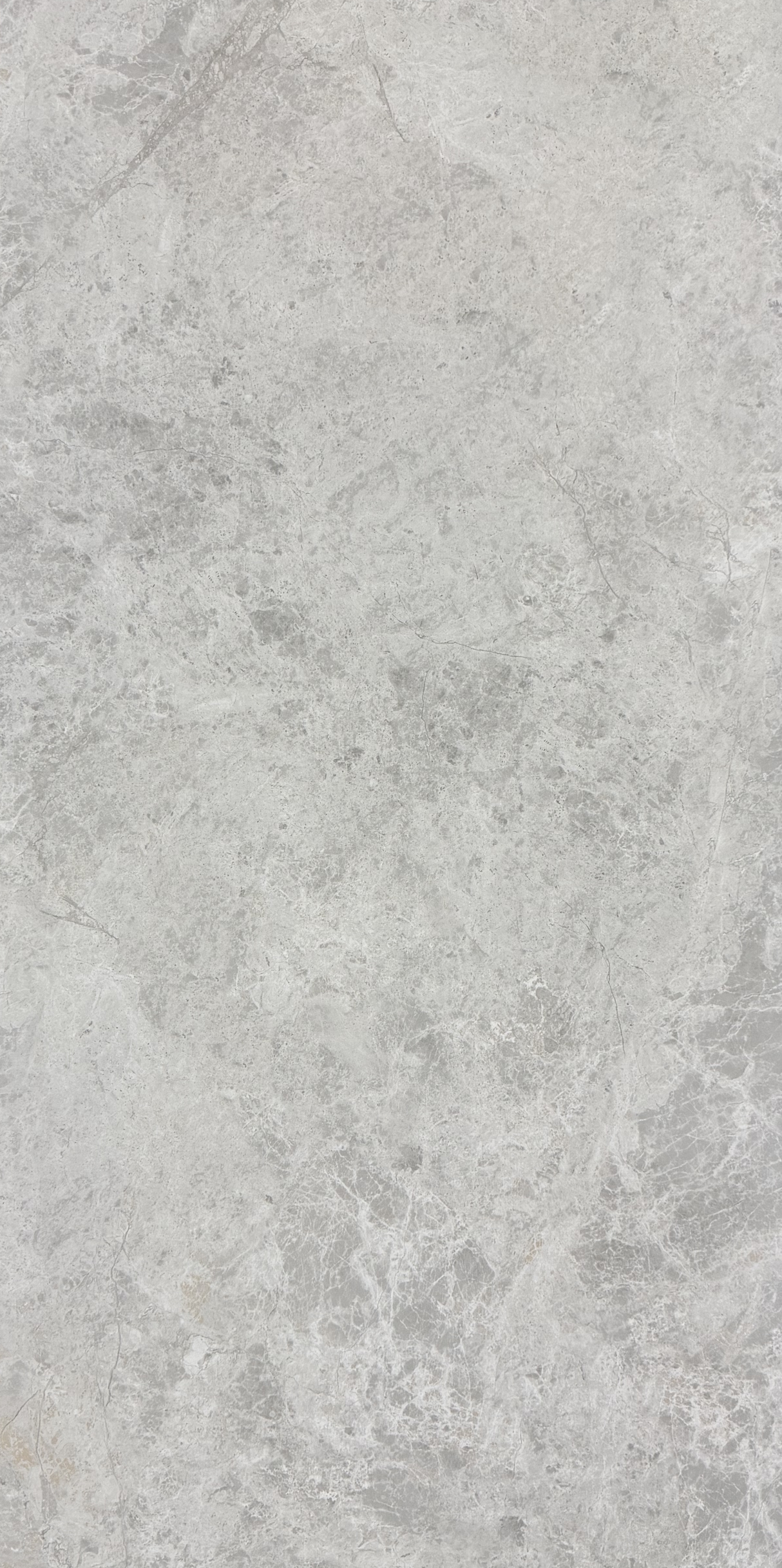 OREO SILVER GREY MATT 600x1200