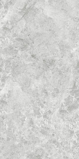 OREO SILVER GREY MATT 600x1200