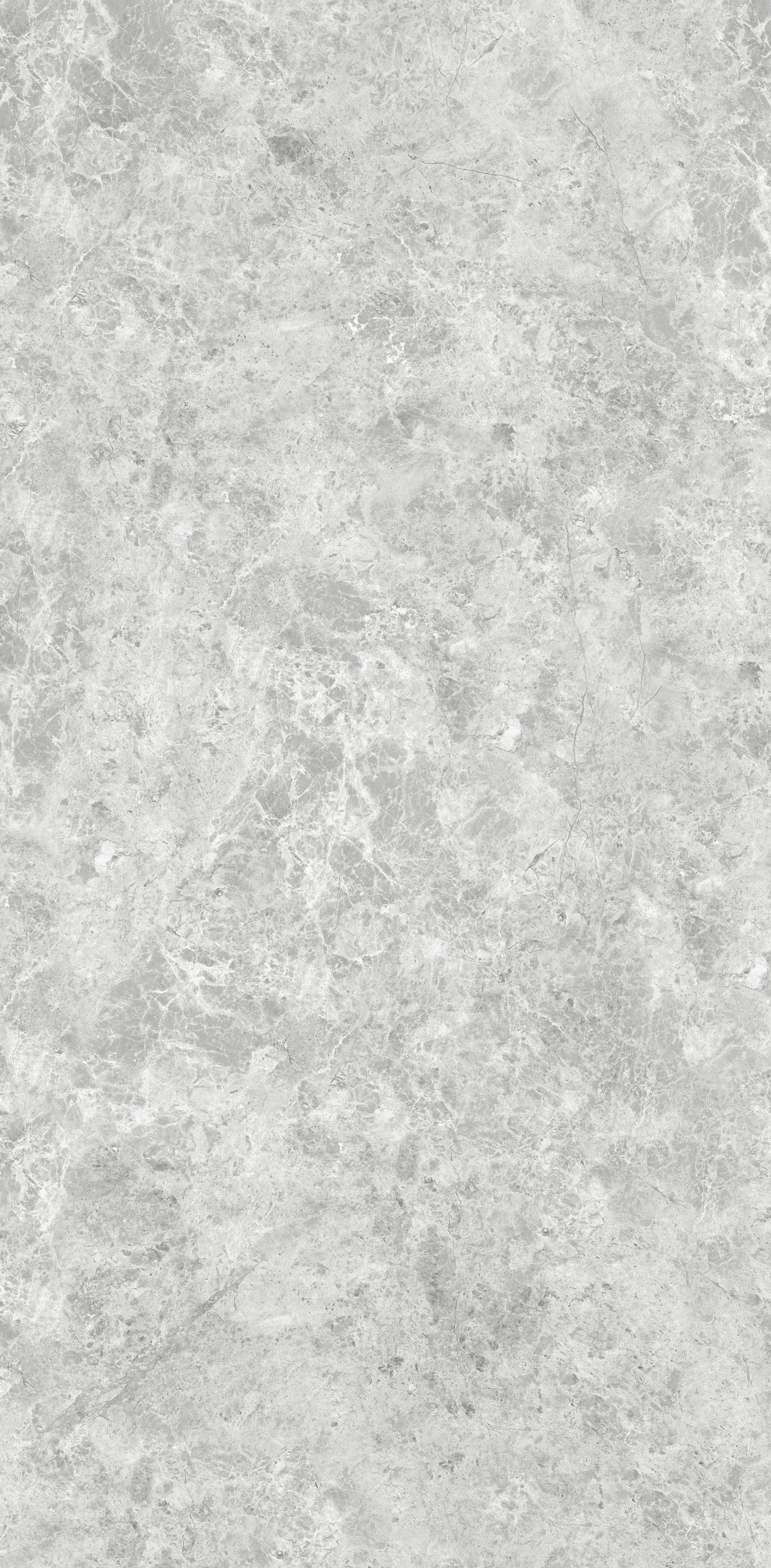 OREO SILVER GREY MATT 600x1200