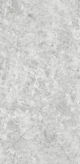 OREO SILVER GREY MATT 600x1200