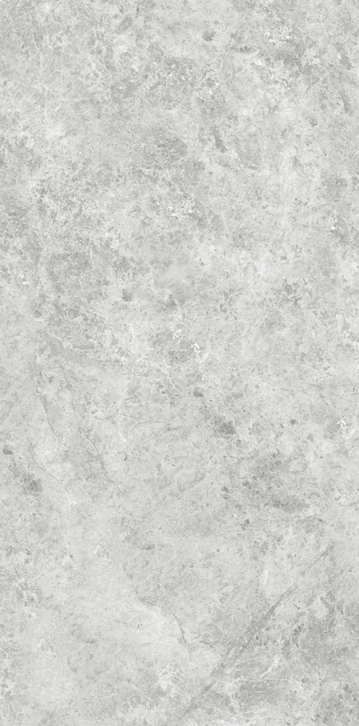 OREO SILVER GREY MATT 600x1200