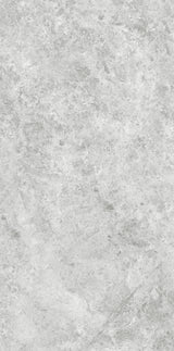 OREO SILVER GREY MATT 600x1200