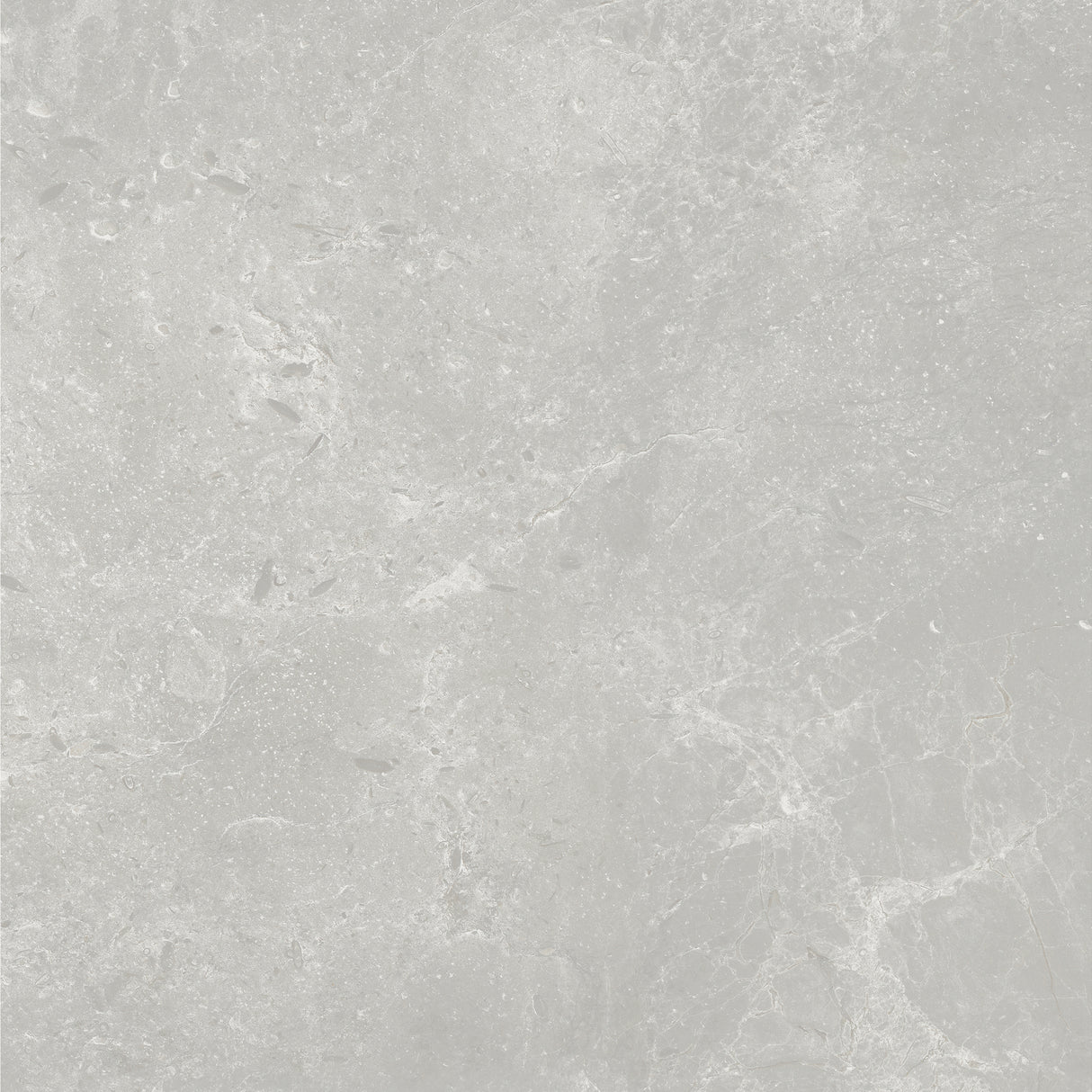 PERIE 600x600