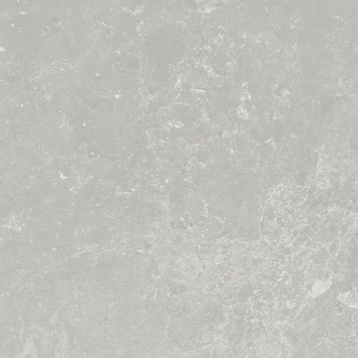 PERIE 600x600