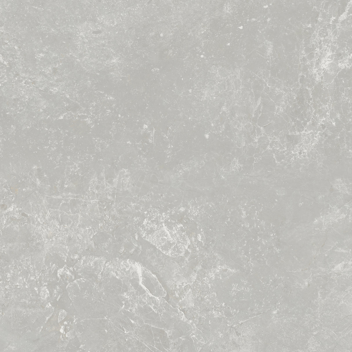 PERIE 600x600