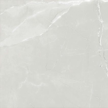 ASTRA LIGHT GREY LAPPATO 600x600