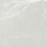 ASTRA LIGHT GREY LAPPATO 600x600