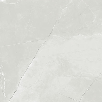ASTRA LIGHT GREY LAPPATO 600x600