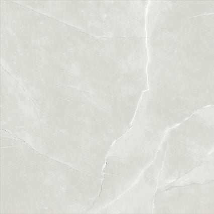 ASTRA LIGHT GREY LAPPATO 600x600