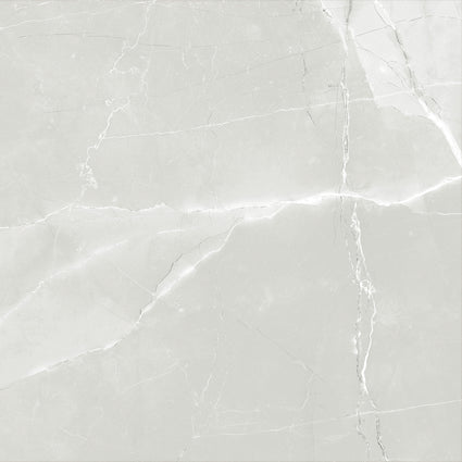 ASTRA LIGHT GREY LAPPATO 600x600