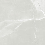 ASTRA LIGHT GREY LAPPATO 600x600