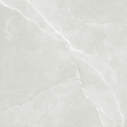 ASTRA LIGHT GREY LAPPATO 600x600