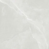 ASTRA LIGHT GREY LAPPATO 600x600