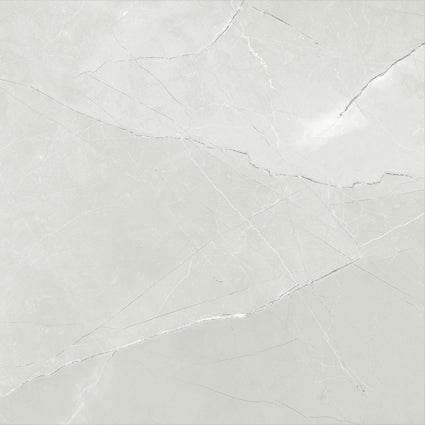 ASTRA LIGHT GREY LAPPATO 600x600