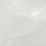 ASTRA LIGHT GREY LAPPATO 600x600