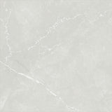 ASTRA LIGHT GREY LAPPATO 600x600