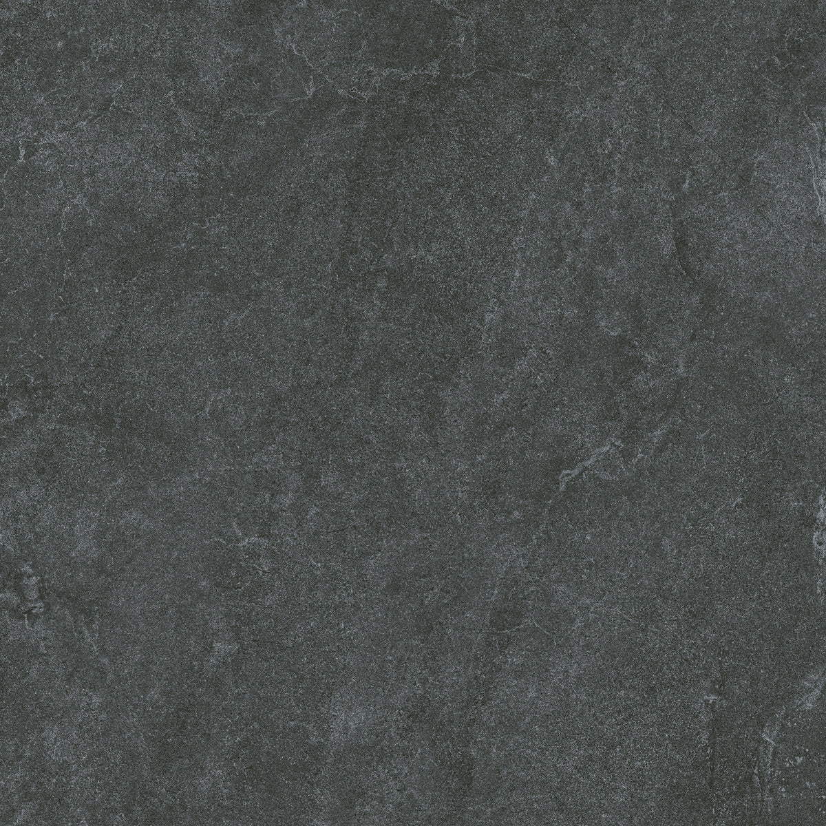 SM6004N 600x600