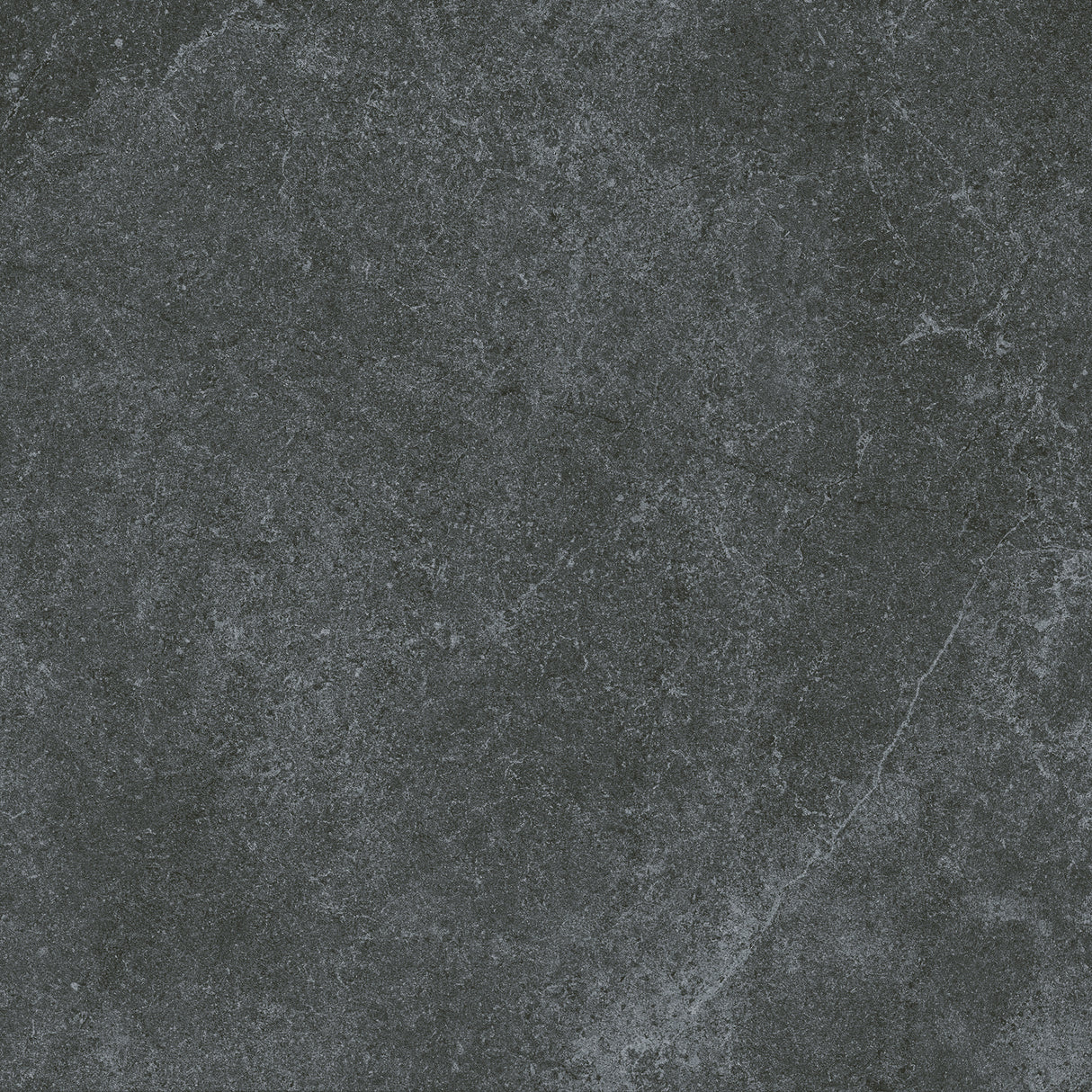 SM6004N 600x600