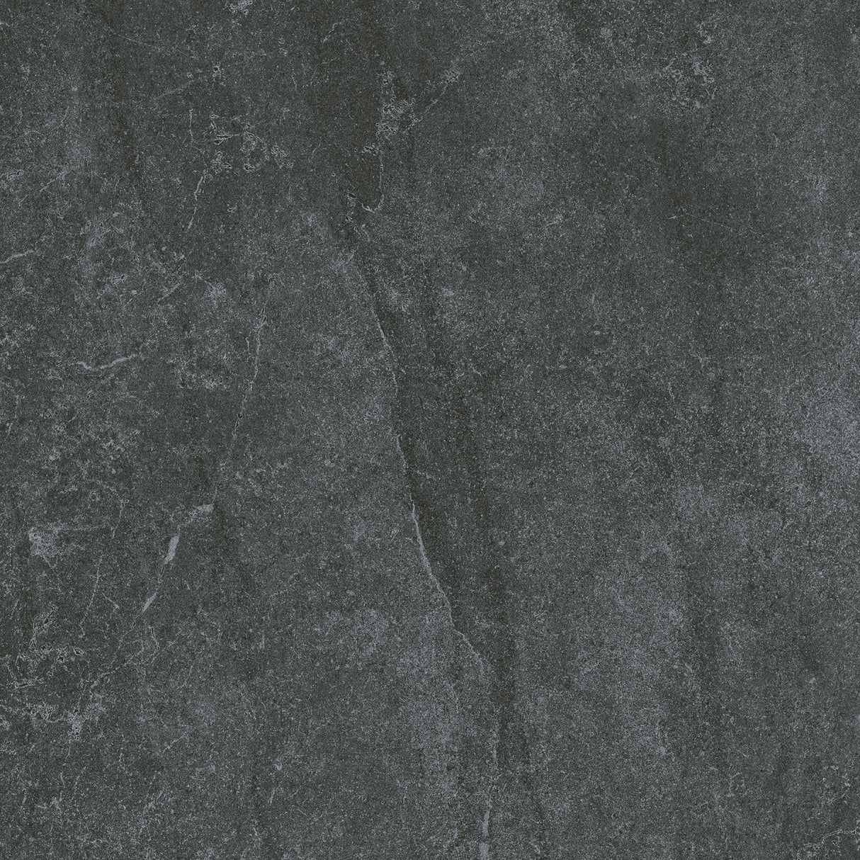 SM6004N 600x600