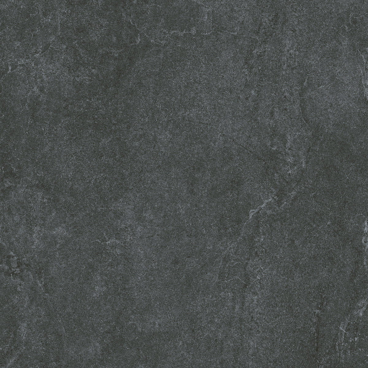 SM6004N 600x600