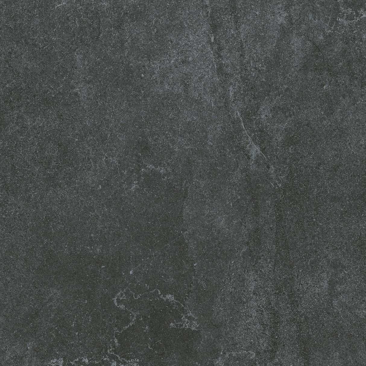 SM6004N 600x600