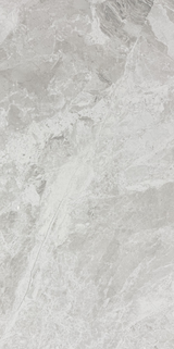TUANA SILVER POLISHED 600x1200