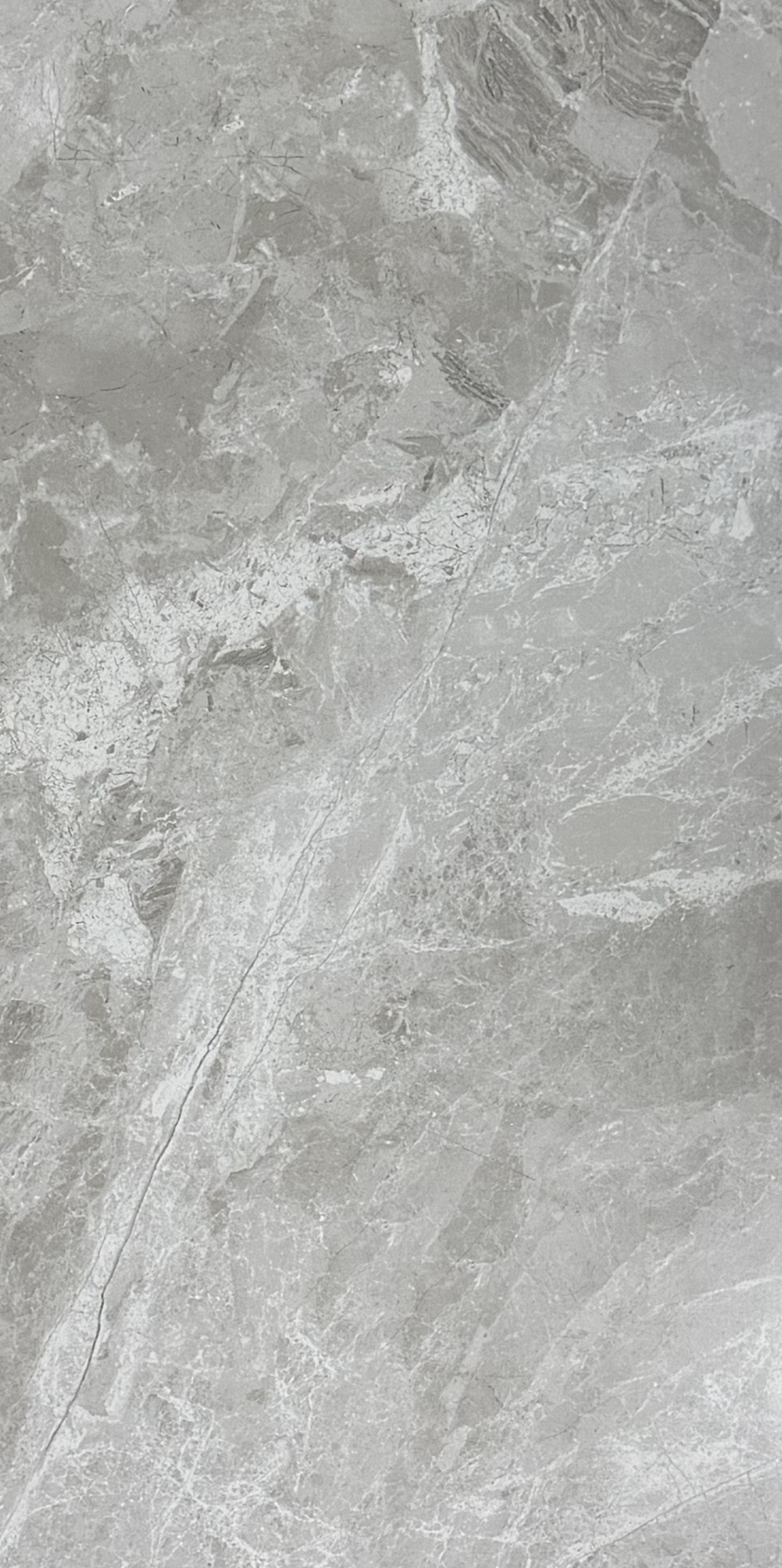 TUANA GREIGE NATURAL 600x1200