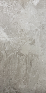TUANA GREIGE POLISHED 600x1200