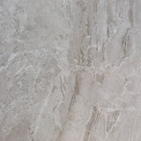 TUANA GREIGE POLISHED 600x600