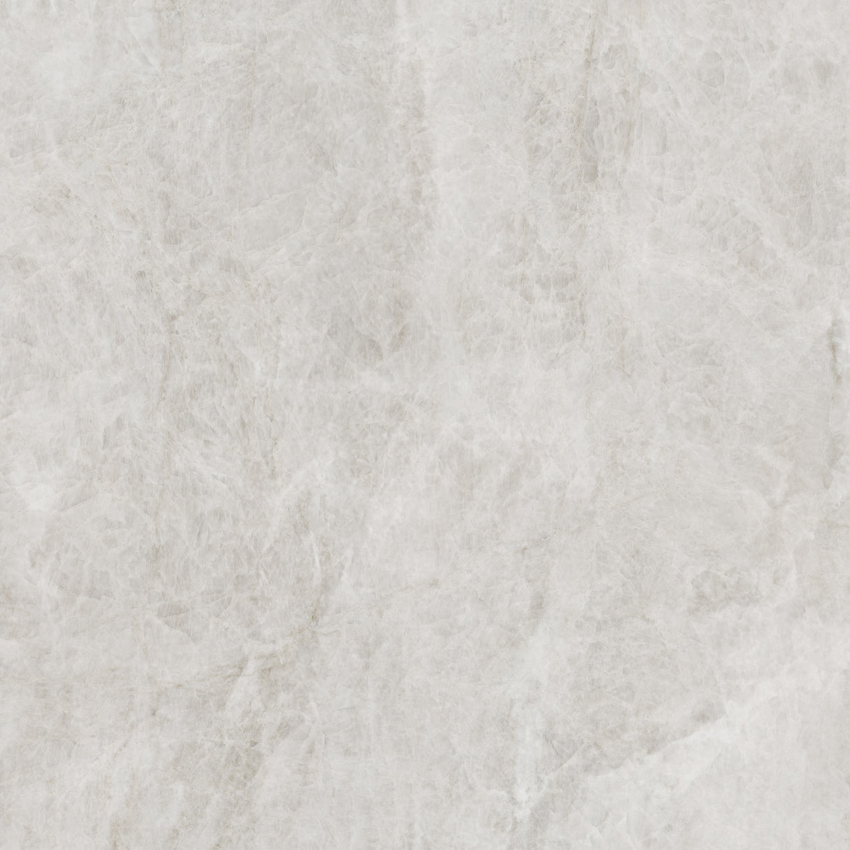 TAJRA SHELL 600X600