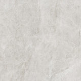 TAJRA SHELL 600X600