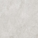 TAJRA SHELL 600X600