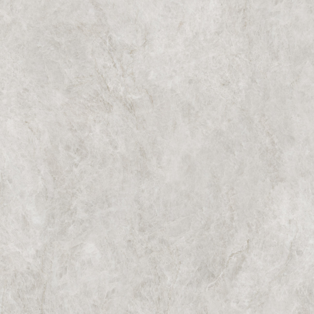 TAJRA SHELL 600X600