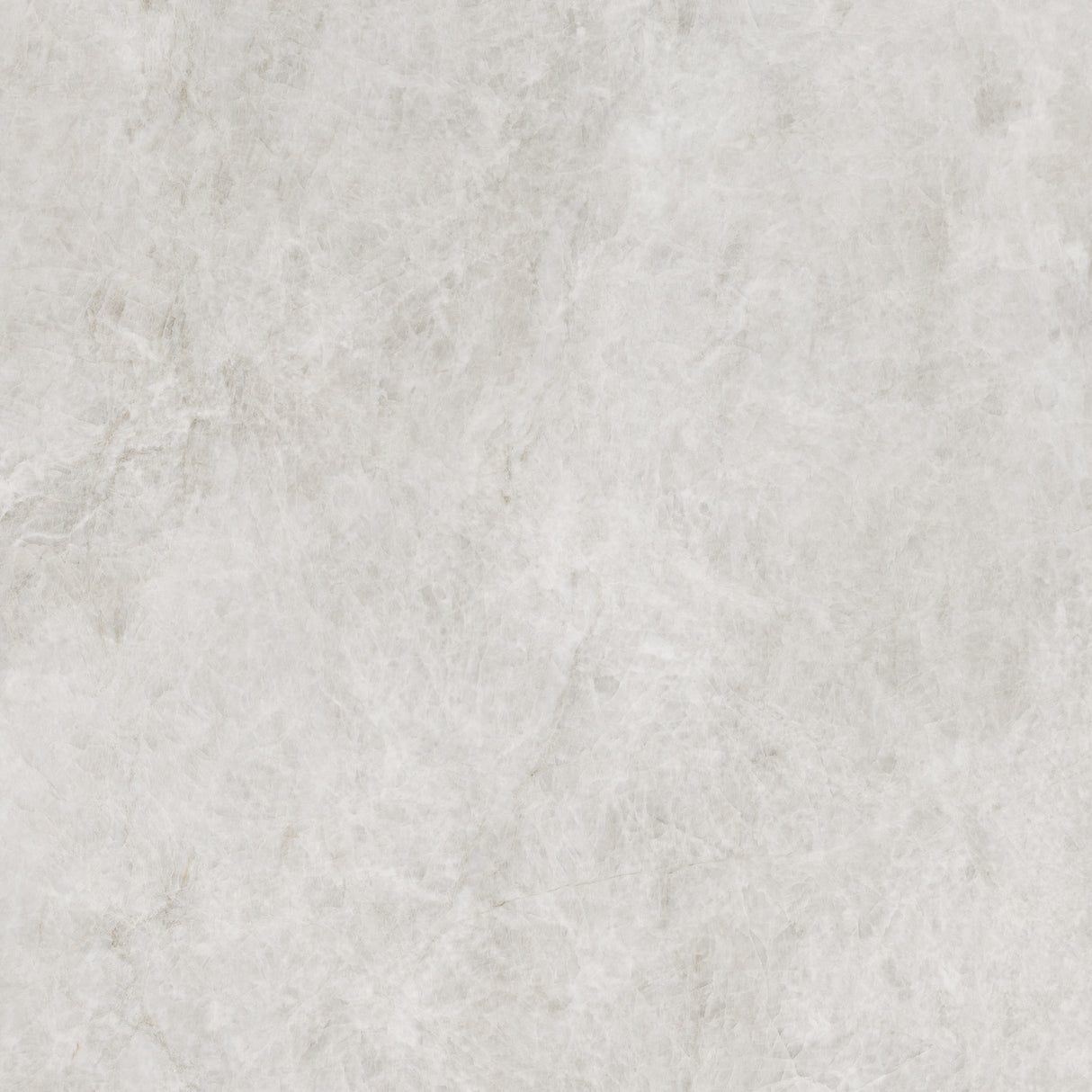 TAJRA SHELL 600X600