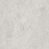 TAJRA SHELL 600X600
