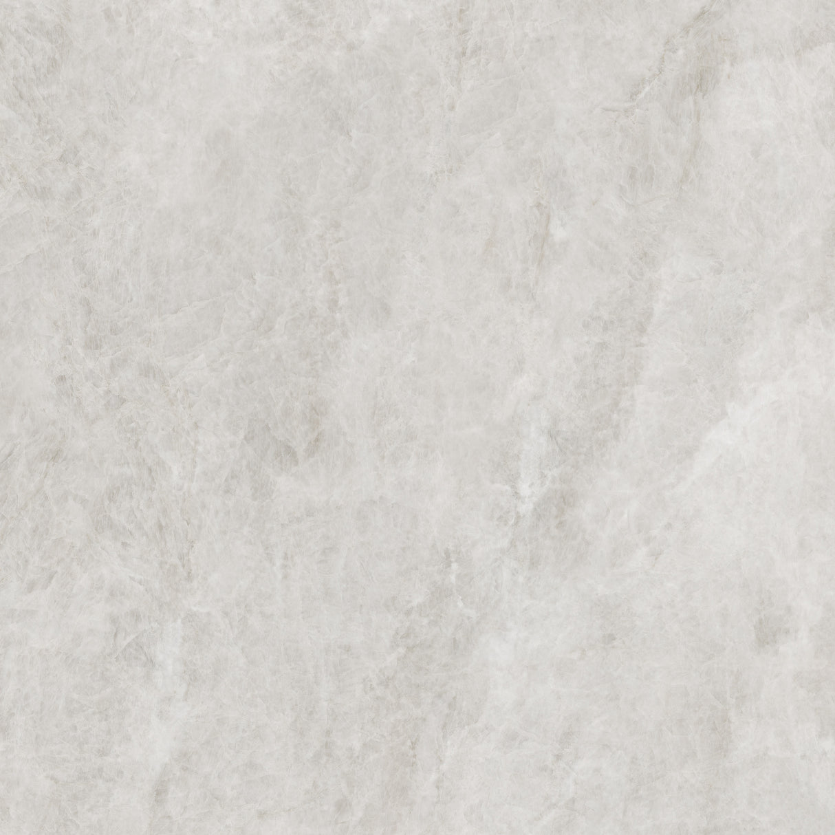 TAJRA SHELL 600X600