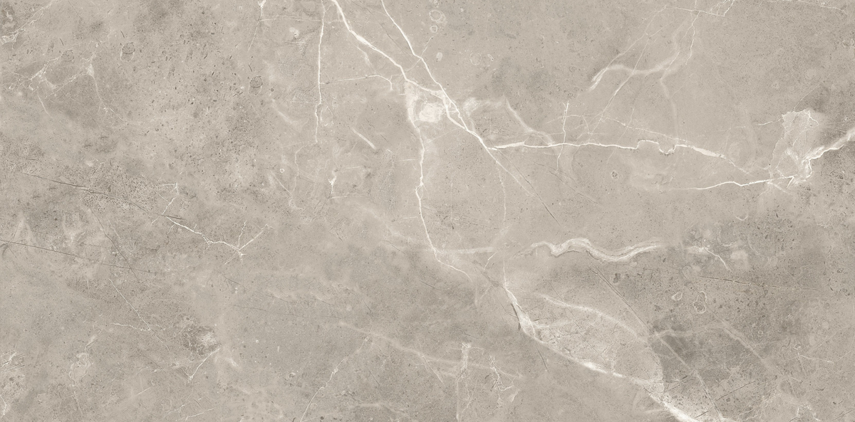 CAPACIO GREY 300x600