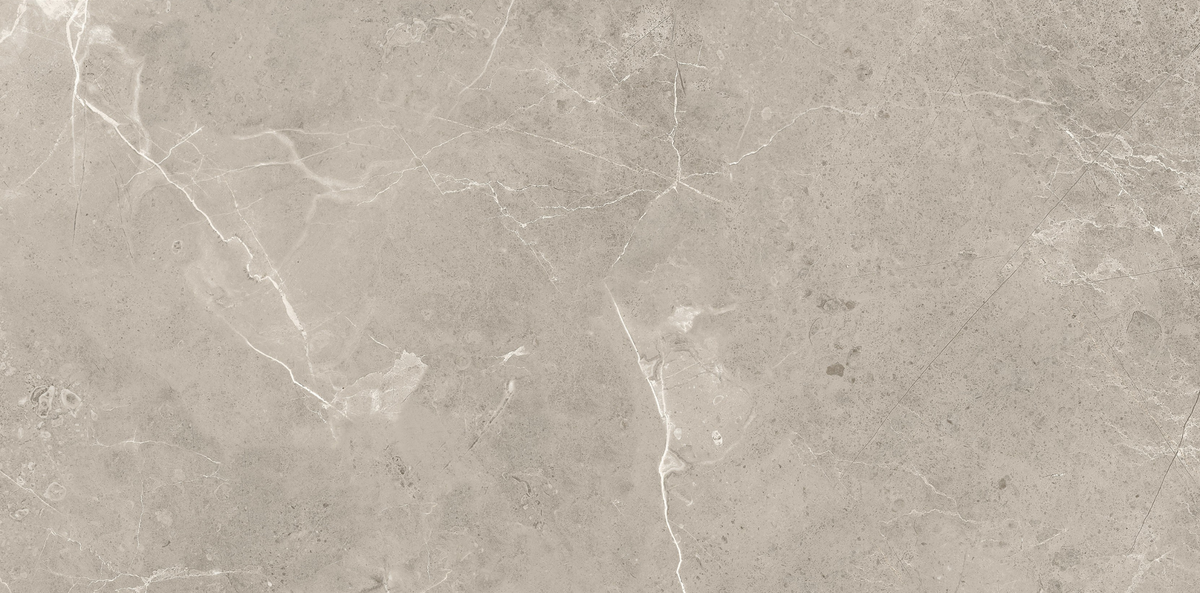CAPACIO GREY 300x600