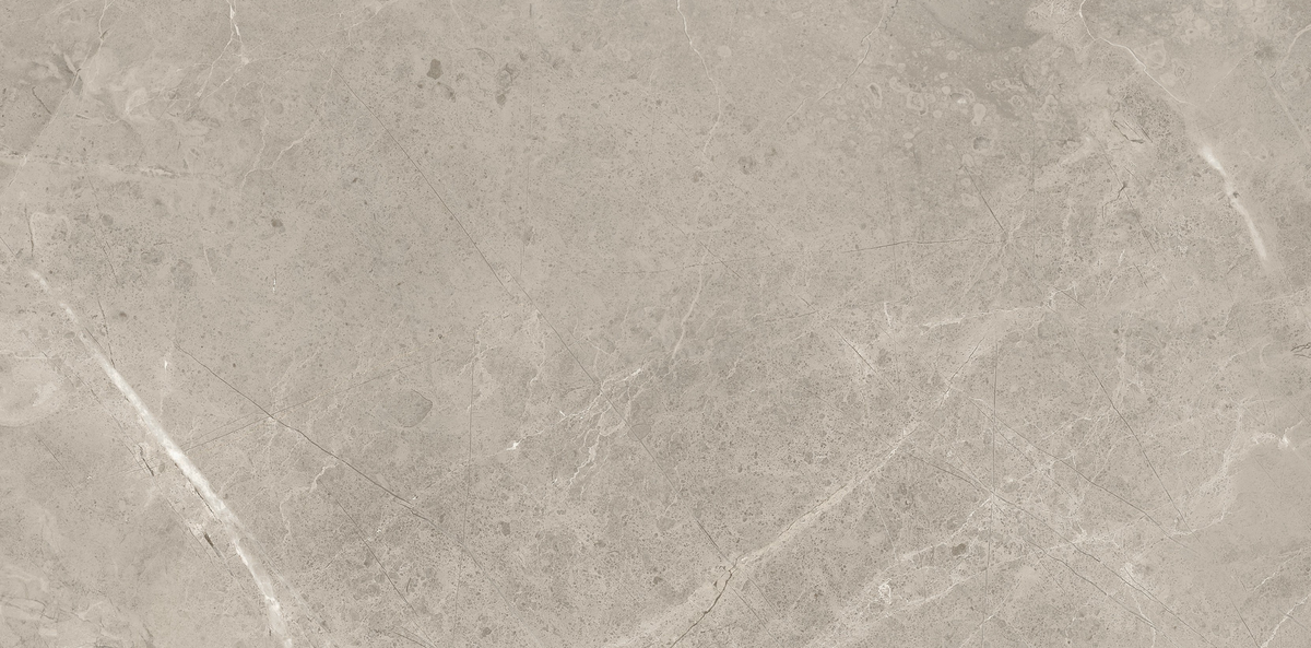 CAPACIO GREY 300x600