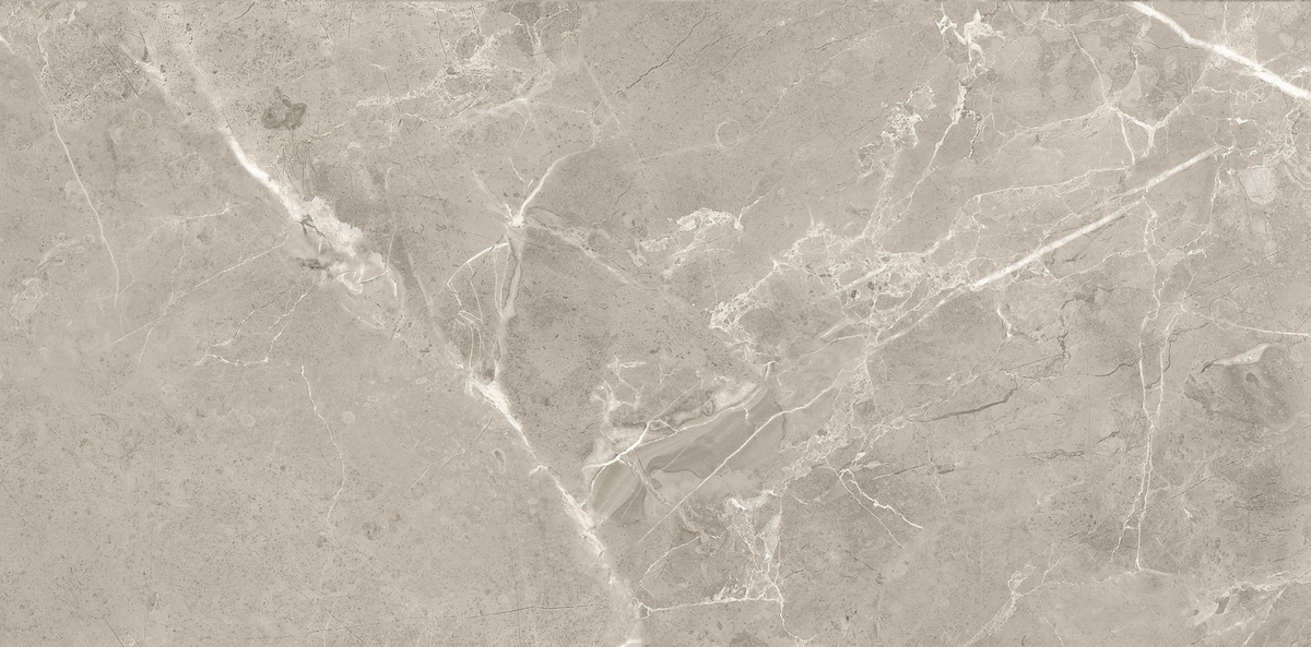 CAPACIO GREY 300x600