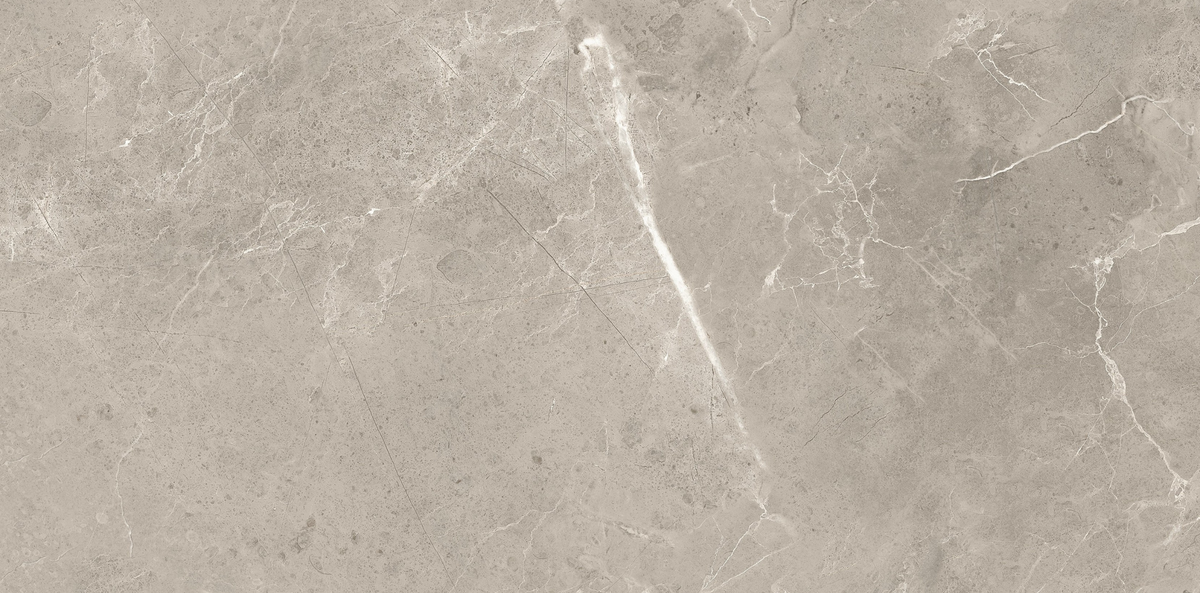 CAPACIO GREY 300x600