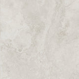 FOSSIL IVORY 600x600