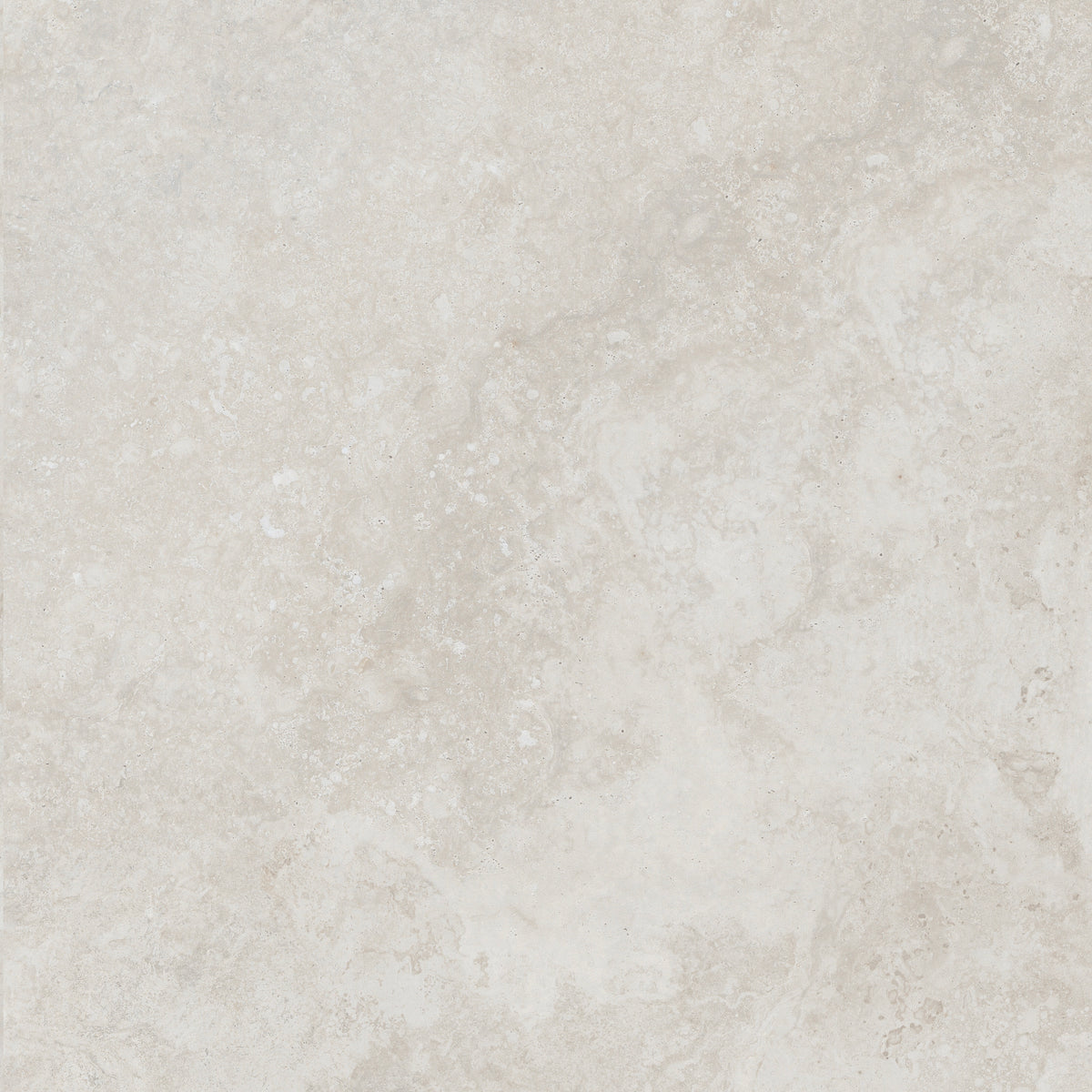FOSSIL IVORY 600x600