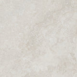 FOSSIL IVORY 600x600