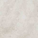 FOSSIL IVORY 600x600