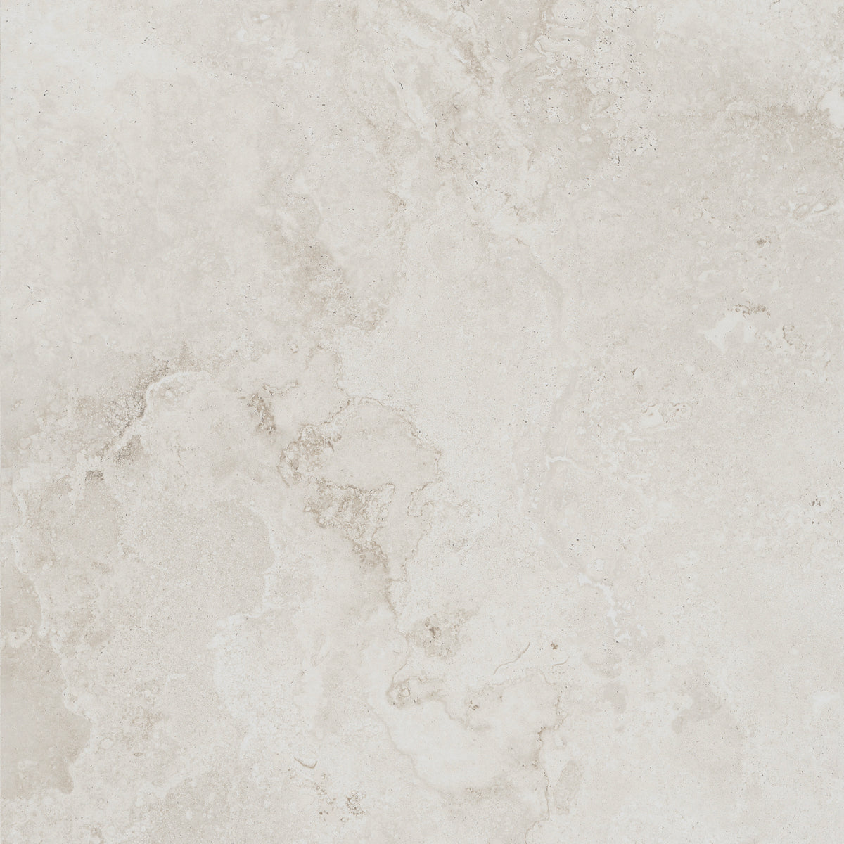 FOSSIL IVORY 600x600