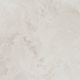 FOSSIL IVORY 600x600