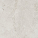 FOSSIL IVORY 600x600