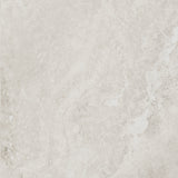 FOSSIL IVORY 600x600