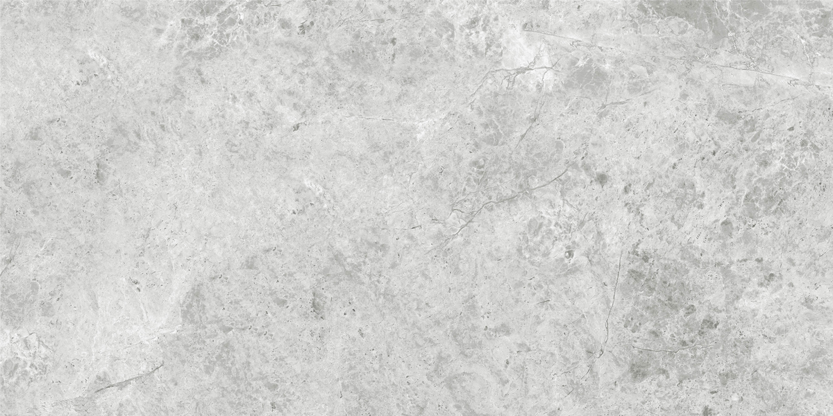 OREO SILVER GREY 300X600